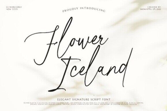 Flower Iceland Font: A Web Designer’s Take on Soft Elegance for Digital Brands